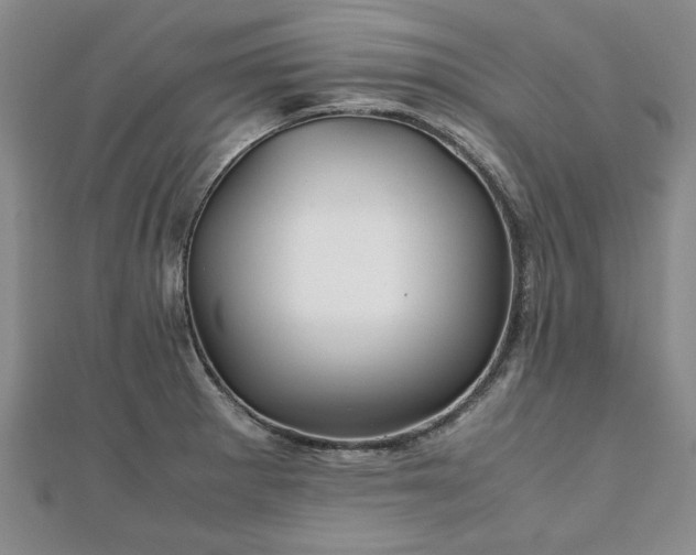 X0000111841281200907301042