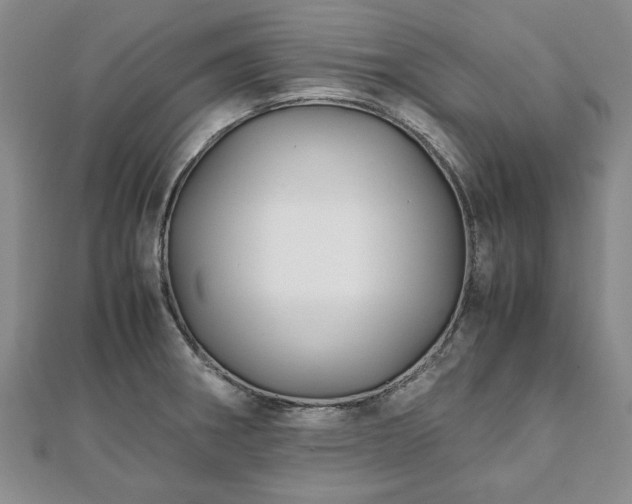 X0000111841282200907301042