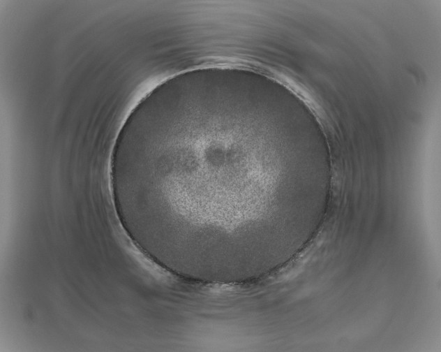 X0000111841283200907301042