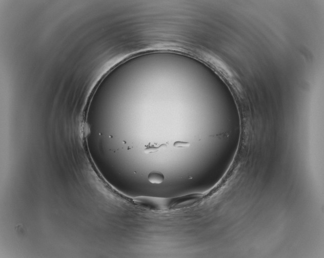 X0000111841284200907301042