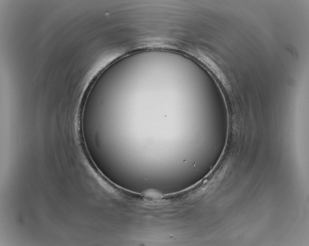 X0000111841285200907301042