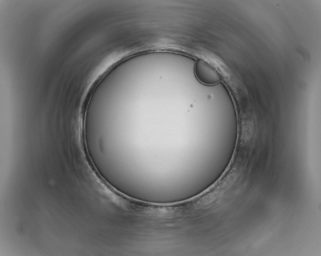 X0000111841286200907301042