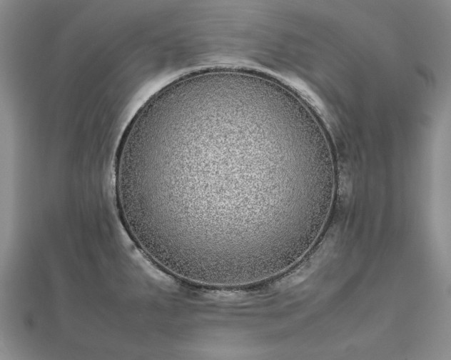 X0000111841287200907301042