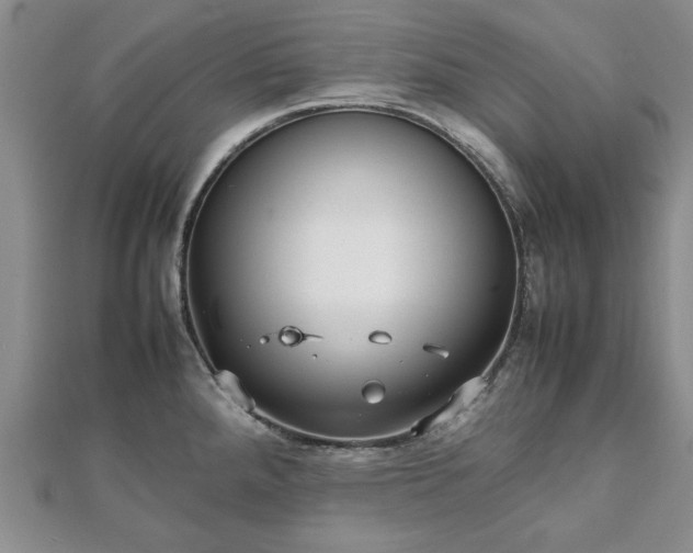 X0000111841288200907301042