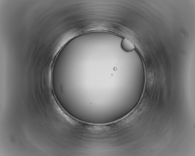 X0000111841290200907301042