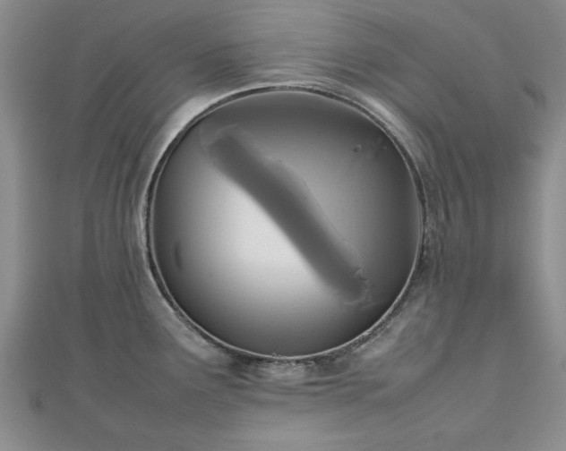 X0000111841291200907301042