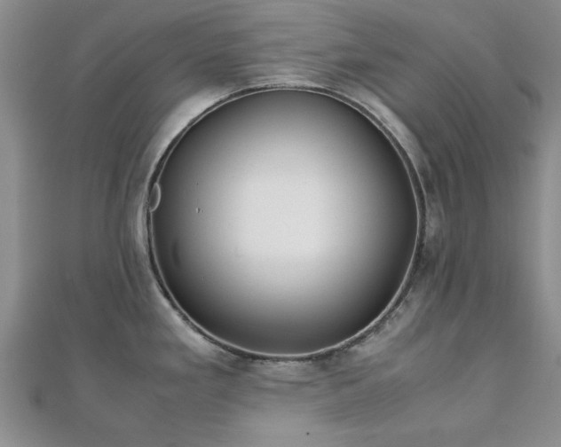 X0000111841293200907301042