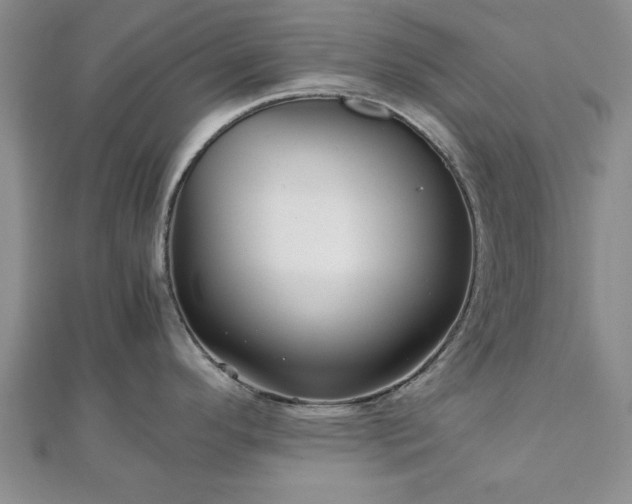 X0000111841296200907301042