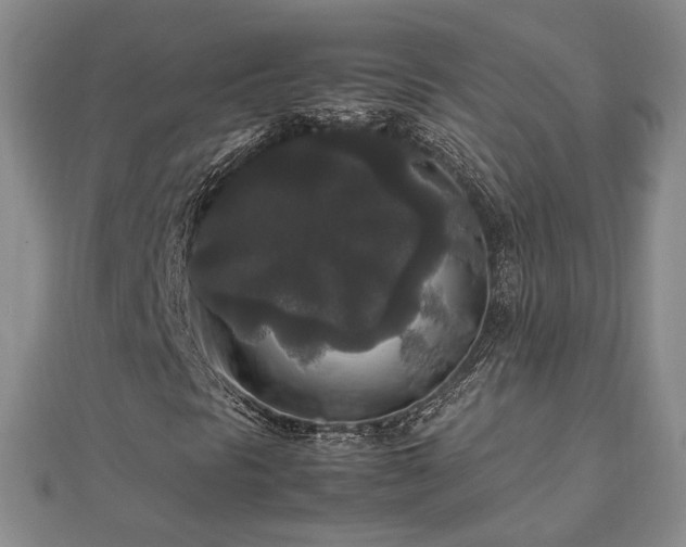 X0000111841297200907301041