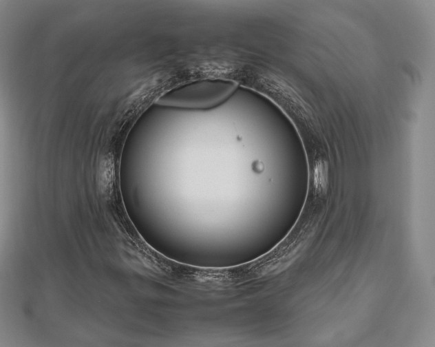 X0000111841299200907301041