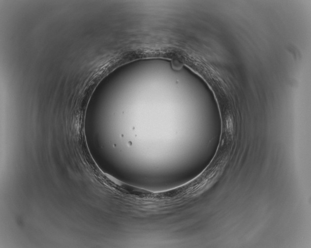 X0000111841300200907301041