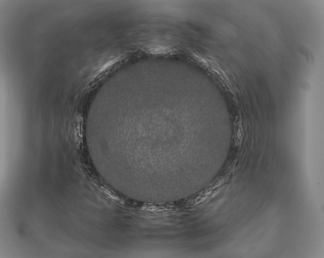 X0000111841301200907301041