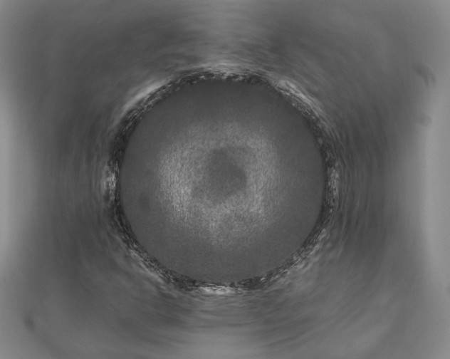 X0000111841302200907301041