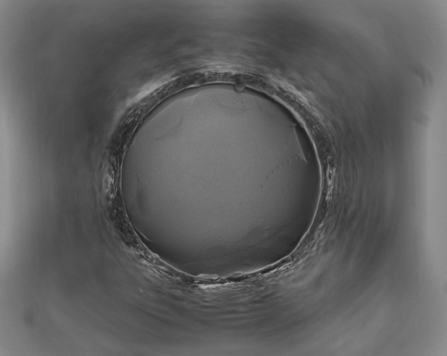 X0000111841303200907301041