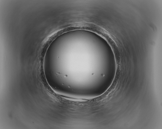 X0000111841304200907301041