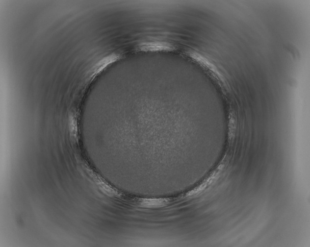 X0000111841305200907301041