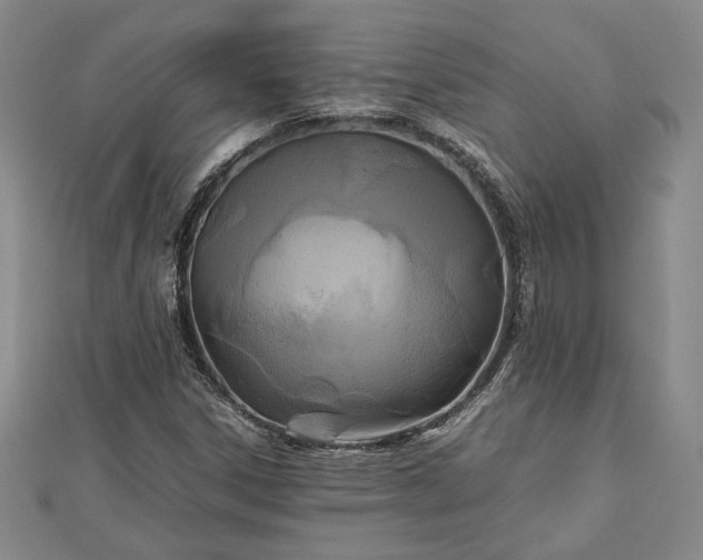 X0000111841306200907301041