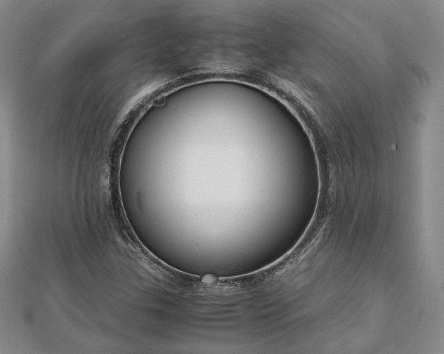 X0000111841307200907301041