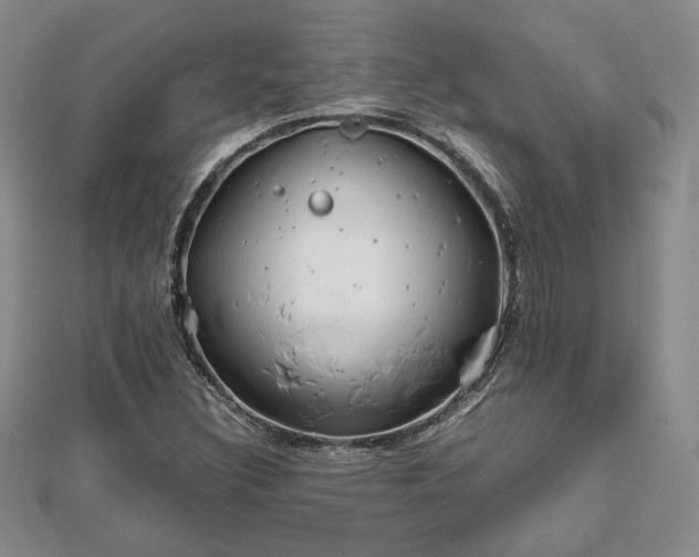 X0000111841308200907301041