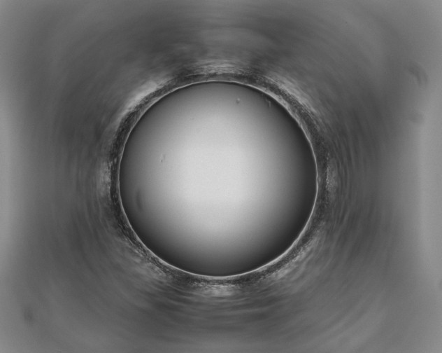 X0000111841309200907301041