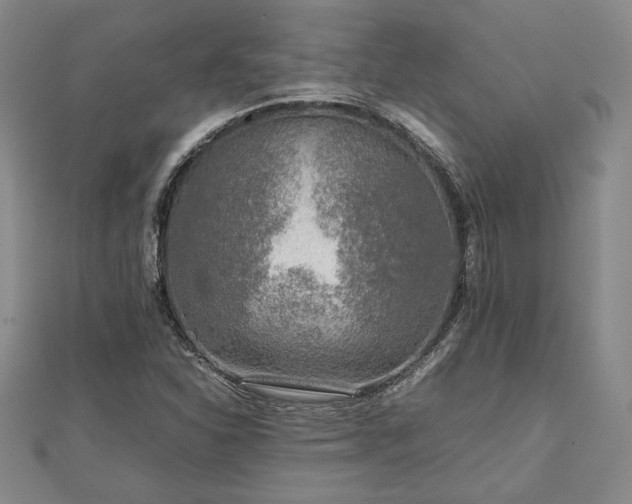 X0000111841310200907301041