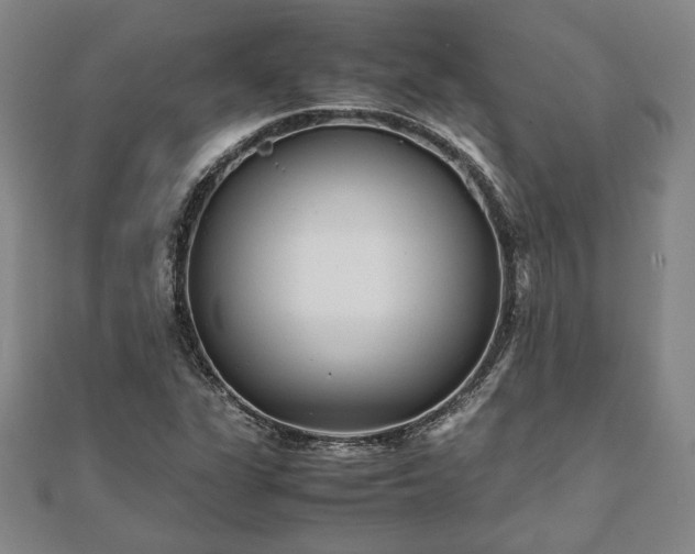 X0000111841311200907301041