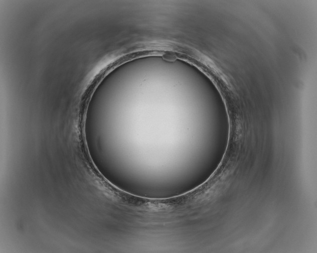 X0000111841312200907301041