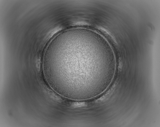 X0000111841313200907301041