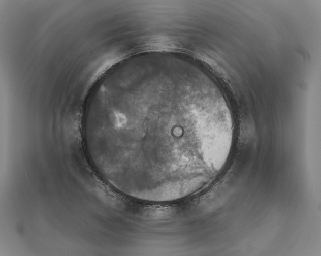 X0000111841314200907301041