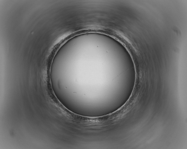 X0000111841315200907301041