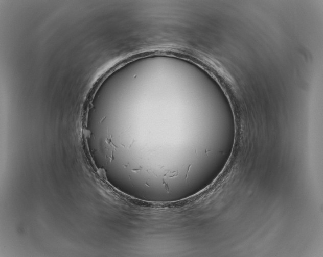 X0000111841316200907301041