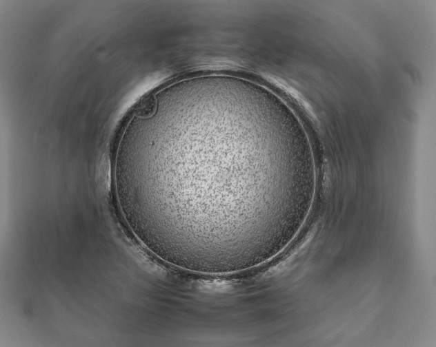 X0000111841317200907301041