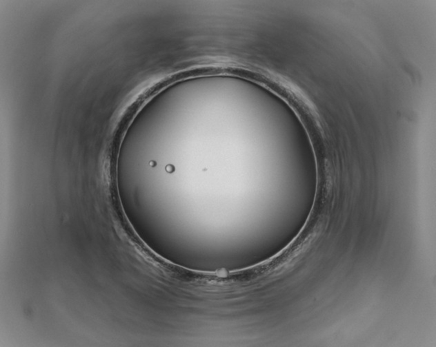 X0000111841318200907301041