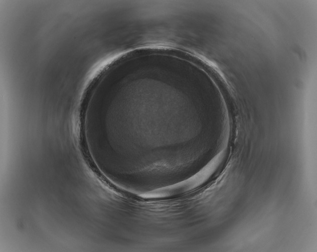 X0000111841319200907301042