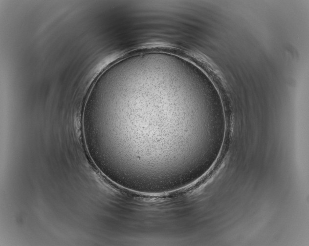 X0000111841321200907301042