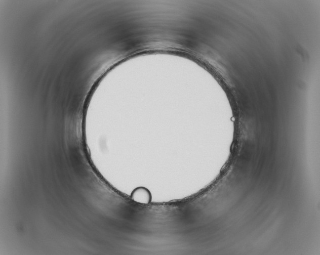 X0000111841322200907301042