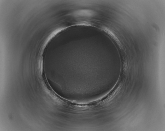 X0000111841323200907301042