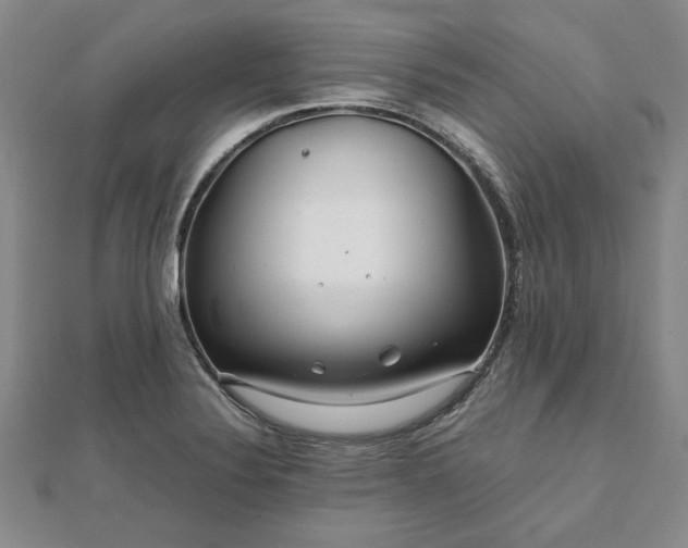 X0000111841324200907301042