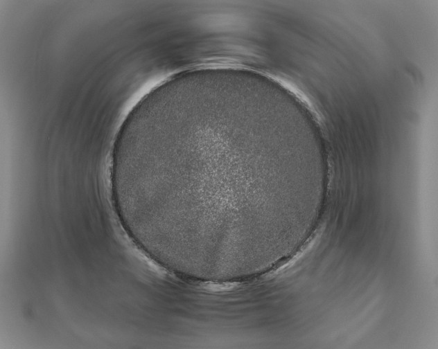 X0000111841325200907301042