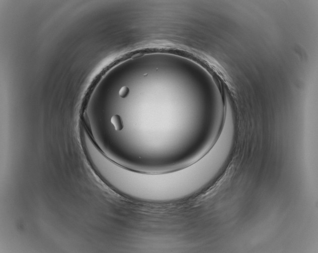 X0000111841326200907301042