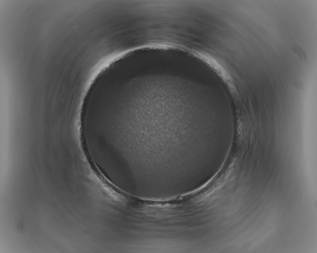 X0000111841327200907301042