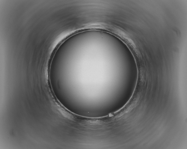 X0000111841328200907301042