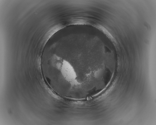 X0000111841329200907301042