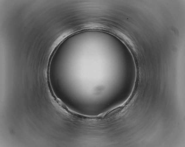 X0000111841330200907301042