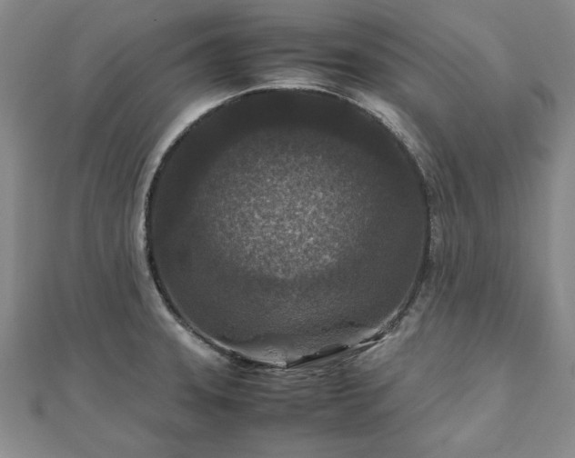 X0000111841331200907301042