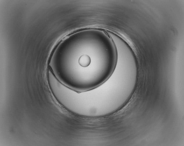 X0000111841332200907301042