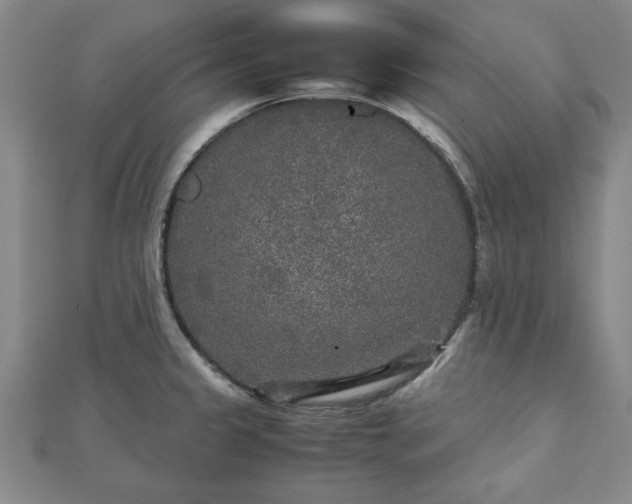 X0000111841333200907301042