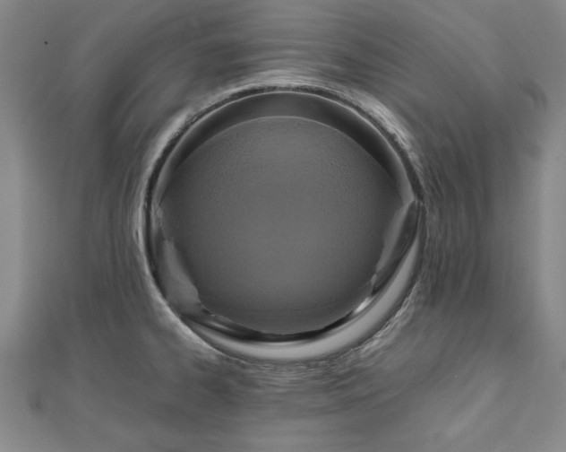 X0000111841334200907301042