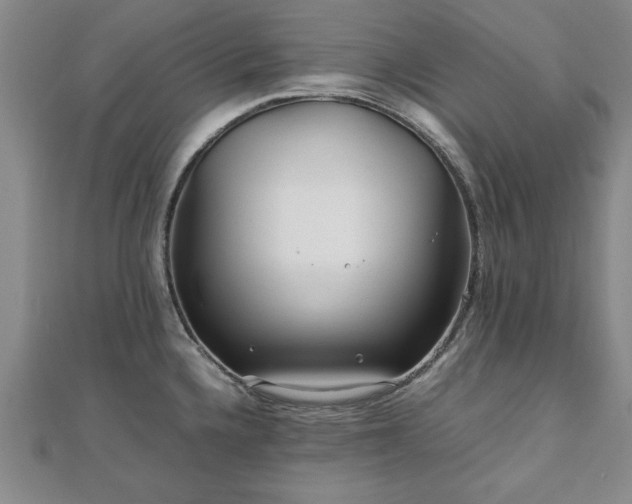 X0000111841336200907301042