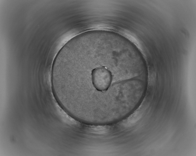 X0000111841338200907301042